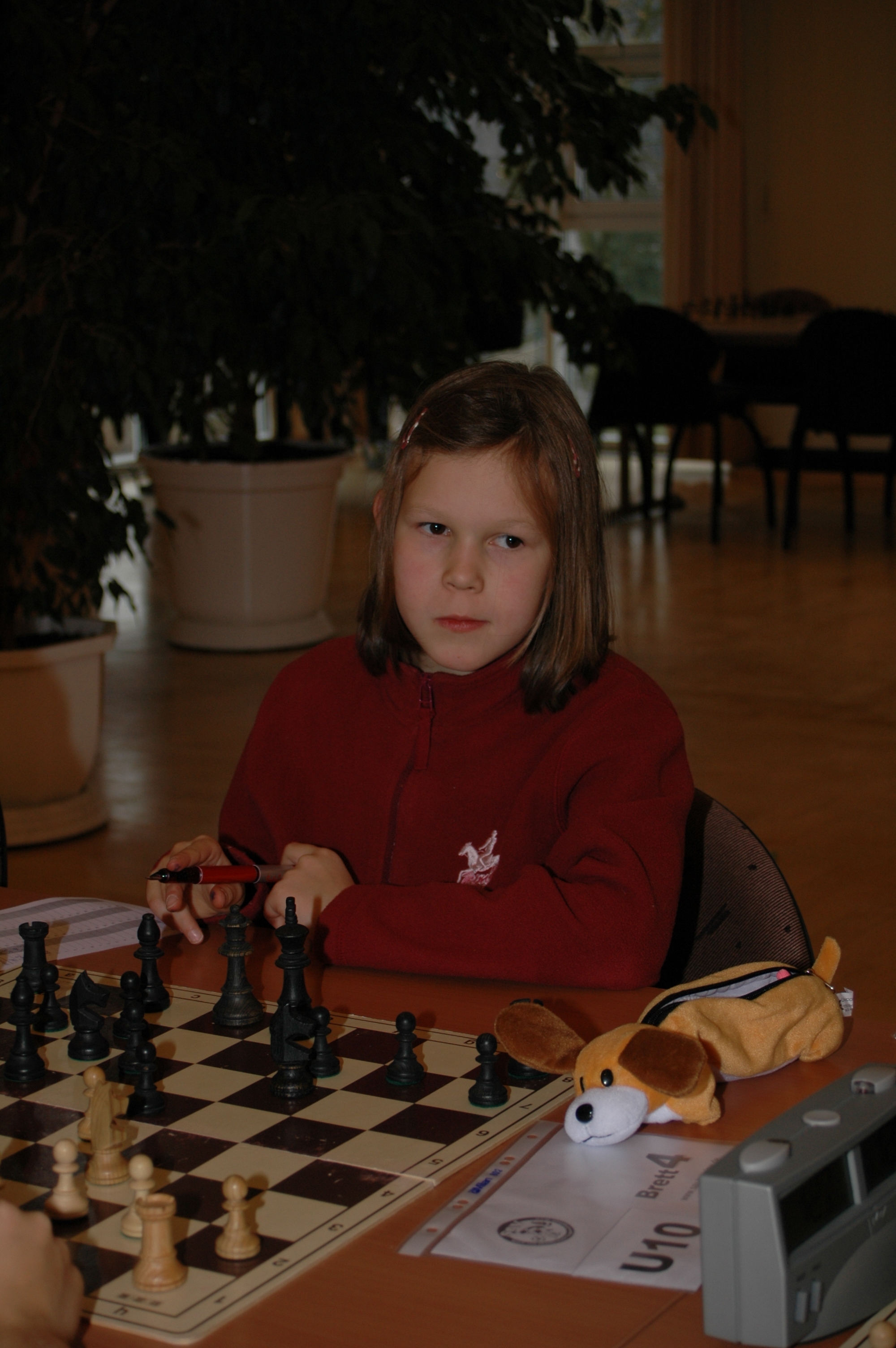 Vorschau